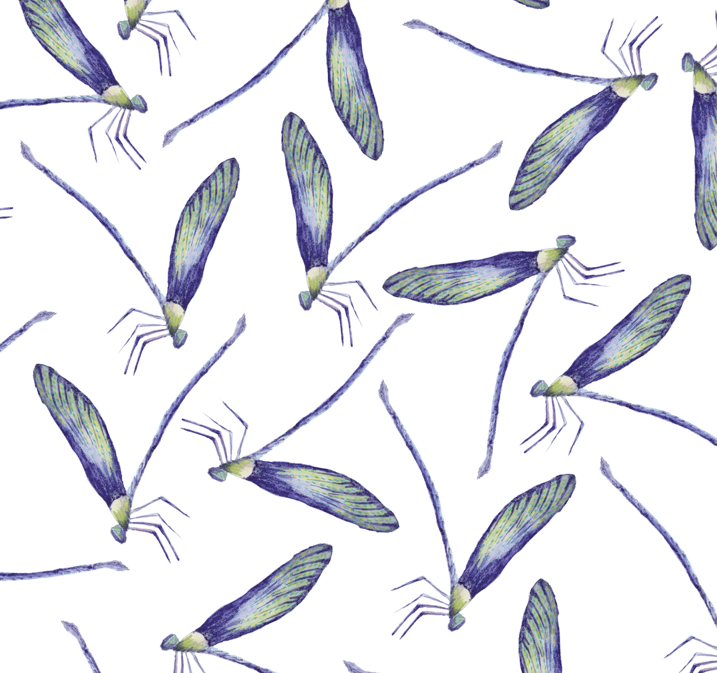 Dragonflies