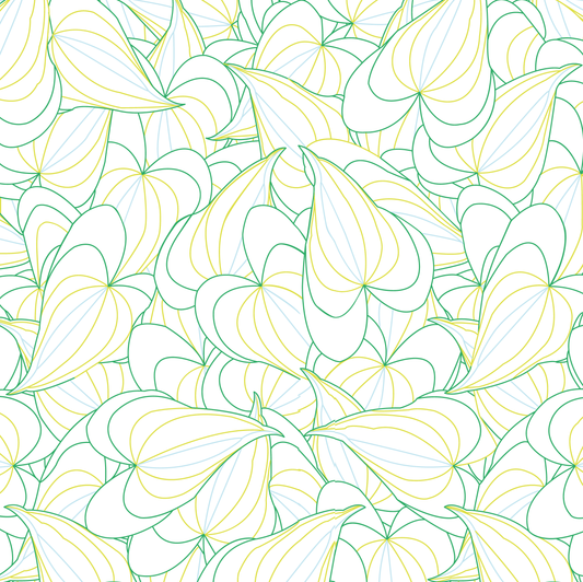 Leaves